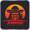 AMIGO_result