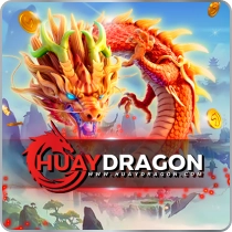 ICON Provider 43_result