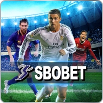 ICON Provider 79_result